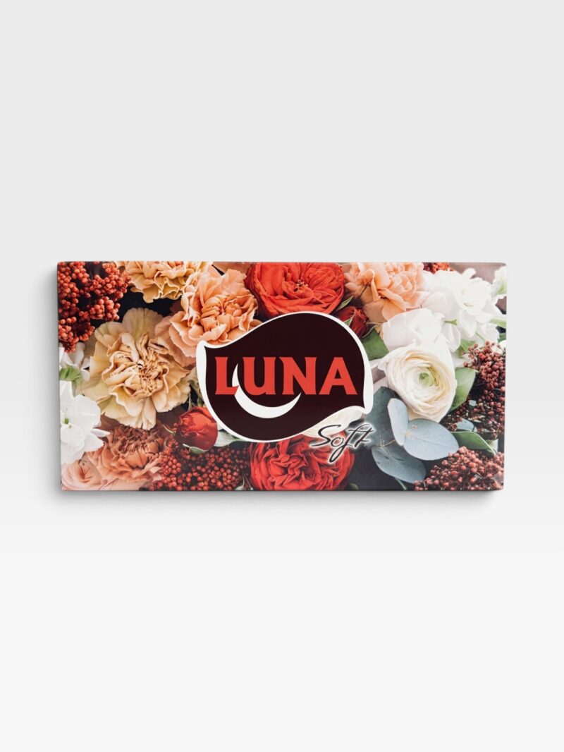 LUNA Papírové kapesníky 2 vrstvé 100 kusů