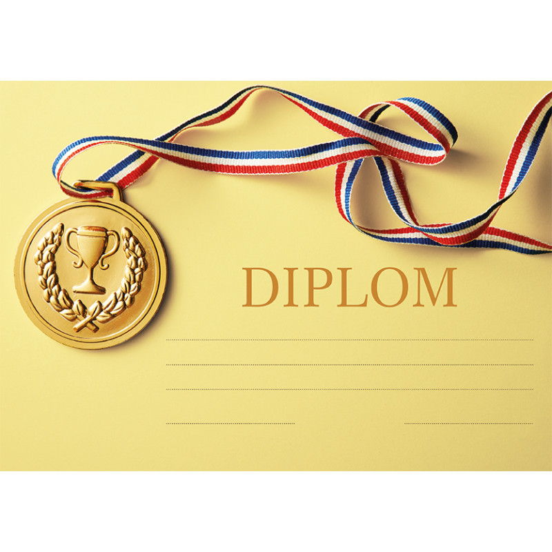 16004-large_default Diplom A4 - Medaile