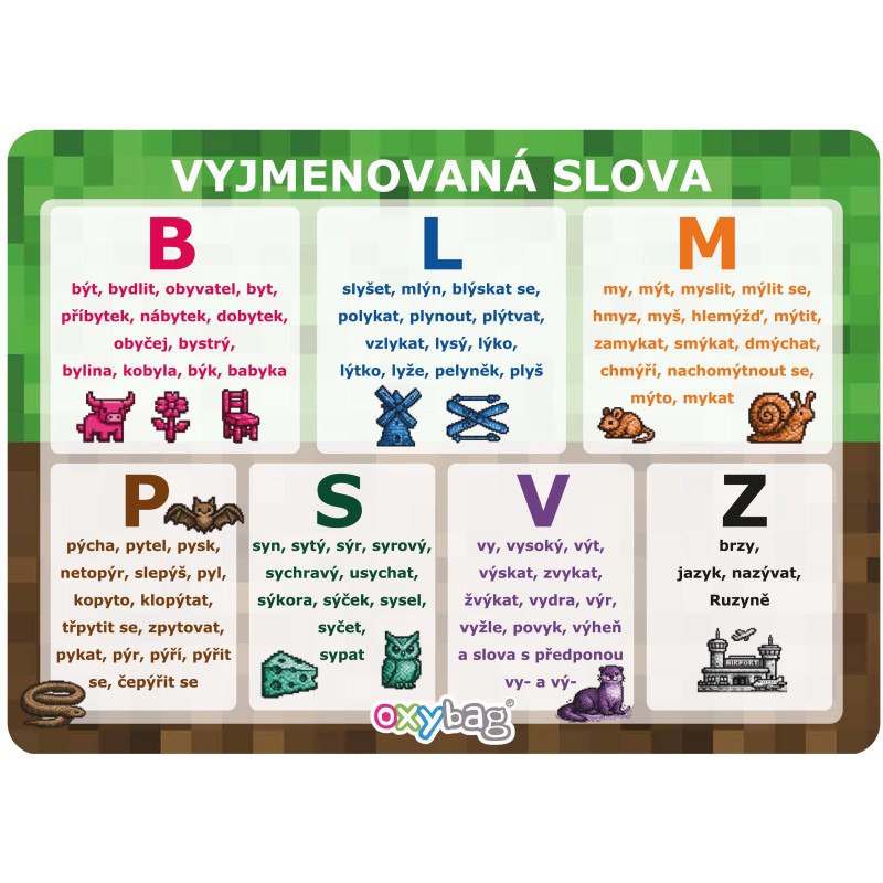 Vzdělávací karty A4 - Playworld / sada 5 ks