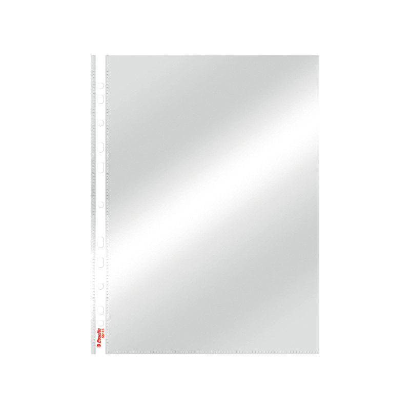 1798-large_default Závěsný obal Esselte Standard - A4 čirý / 75 my / 100 ks