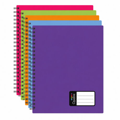 18247-large_default Blok Twin wire A5 Opaline - mix barev